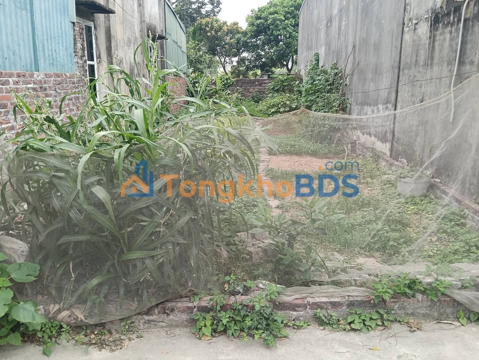 Đất nền Đông Xuân Sóc Sơn 80m² 2.05 tỷ – Sổ đỏ chính chủ