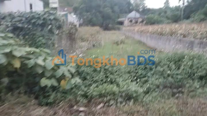 Đất Minh Quang Ba Vì 256m² 1,1 tỷ - Mặt tỉnh lộ ô tô