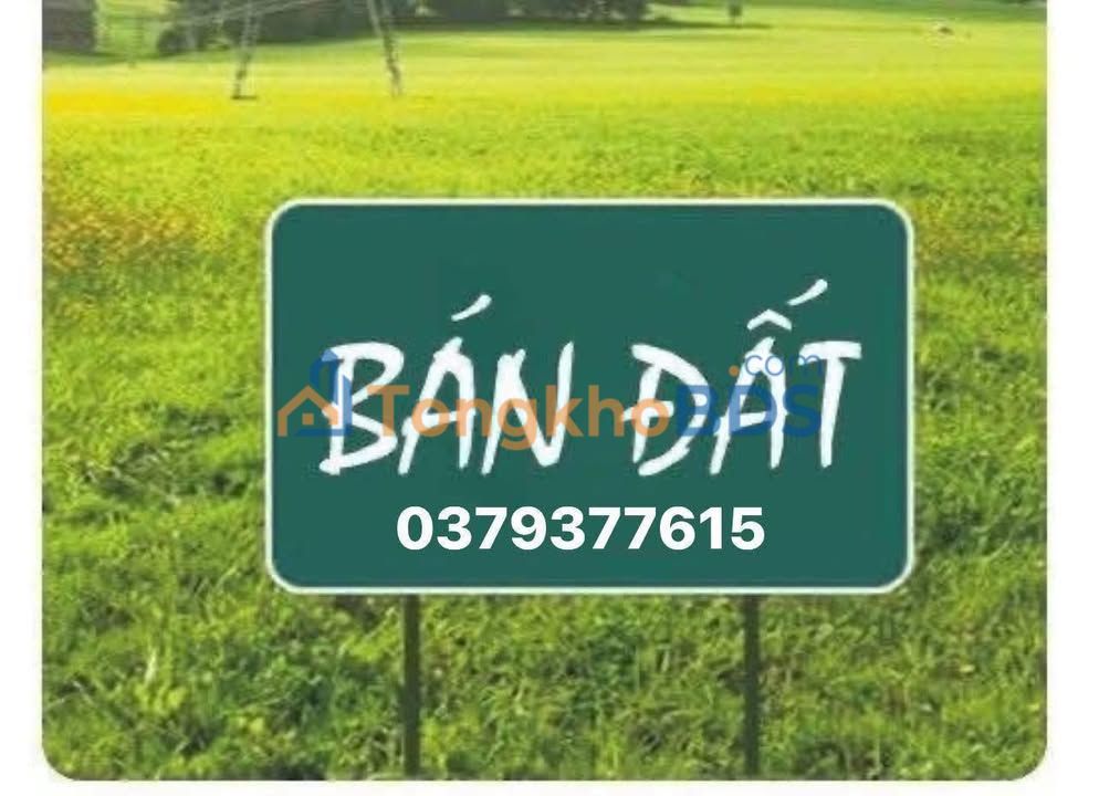 Đất nền Xã Cồn Thoi Kim Sơn 220m² Pháp lý rõ ràng