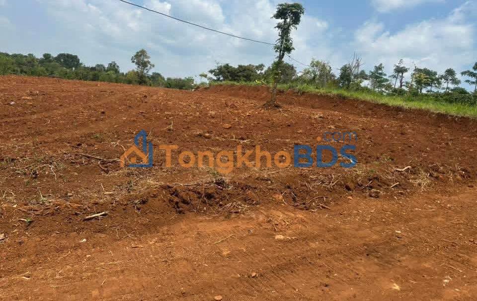 Đất Ea Kly Krông Pắc 1215m² 95 triệu/m - Thổ cư 100%