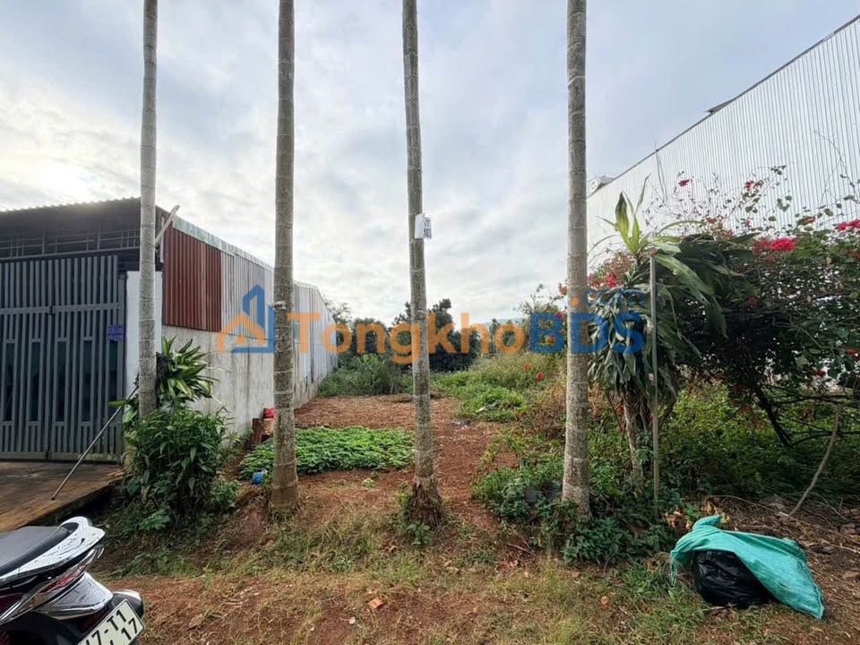 Đất nền Tân Lập, Buôn Ma Thuột 340m² 4,25 tỷ - Sổ đỏ chính chủ