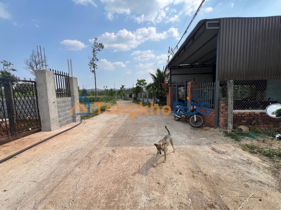 Đất nền Ea Tam Buôn Ma Thuột 180m² 799 triệu – Sổ đỏ chính chủ