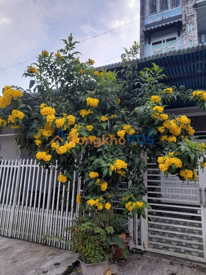 Nhà nguyên căn Nguyễn Văn Cừ, Bảo Lộc 100m2 - Sẵn sàng ở ngay