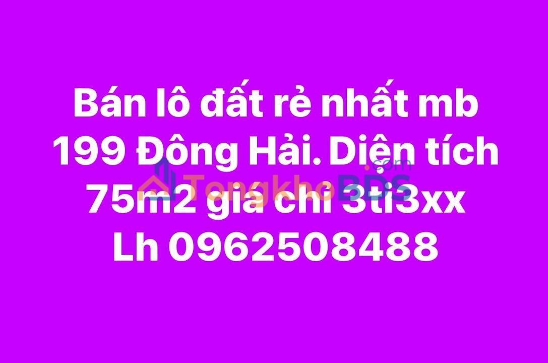 Đất nền Thanh Hóa Đông Hải 75m² 3,3 tỷ - Đường to ô tô