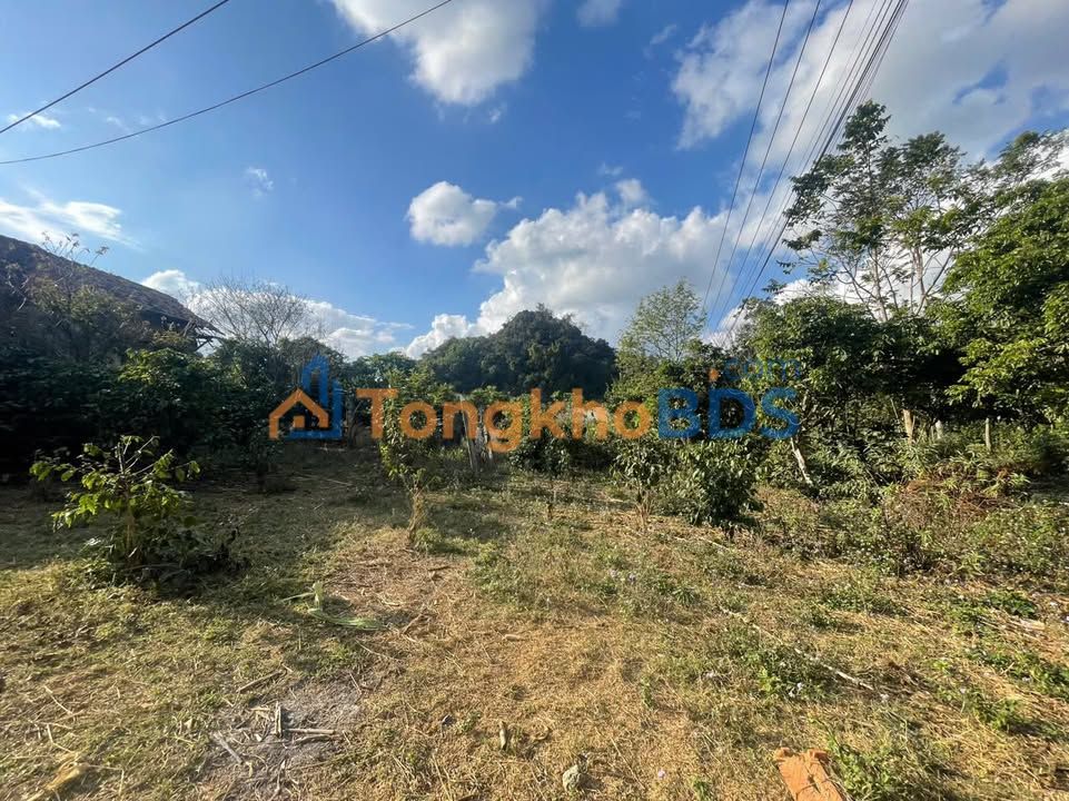 Đất nền Chiềng Ve Mai Sơn 4.750m² 2 tỷ - Đường ô tô tránh