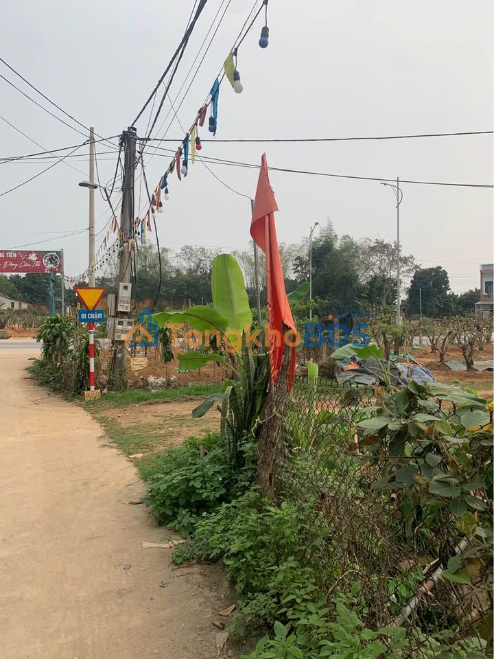 Đất Vườn Tỉnh Tuyên Quang 240m² - Sổ Đỏ Rõ Ràng, Sẵn Sàng Xây Nhà