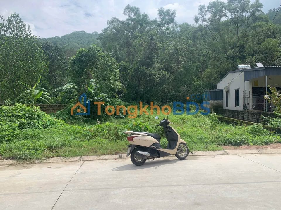 Đất nền Phố Đông Lĩnh 276m²/3 tỷ - Sổ đỏ chính chủ