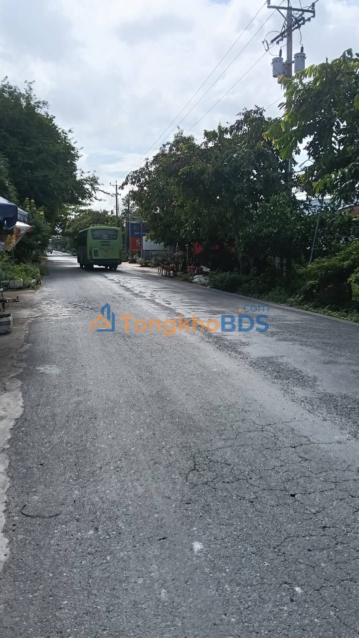 Đất nền Cai Lậy TL868 50m² 1.6 tỷ - Sổ đỏ chính chủ