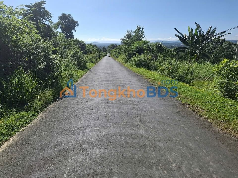 Đất nền Nam Đà 1.400m² giá 112 tỷ - Đất thổ cư 100%