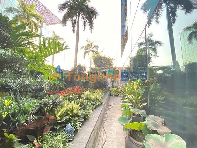 Căn hộ Lê Thánh Tôn Q1 166m² 110tr - View đẹp tầng cao