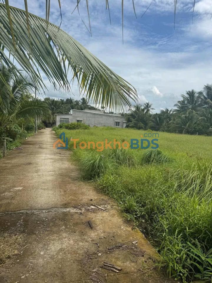 Đất nền An Phước 78m² 230 triệu - Sổ đỏ chính chủ