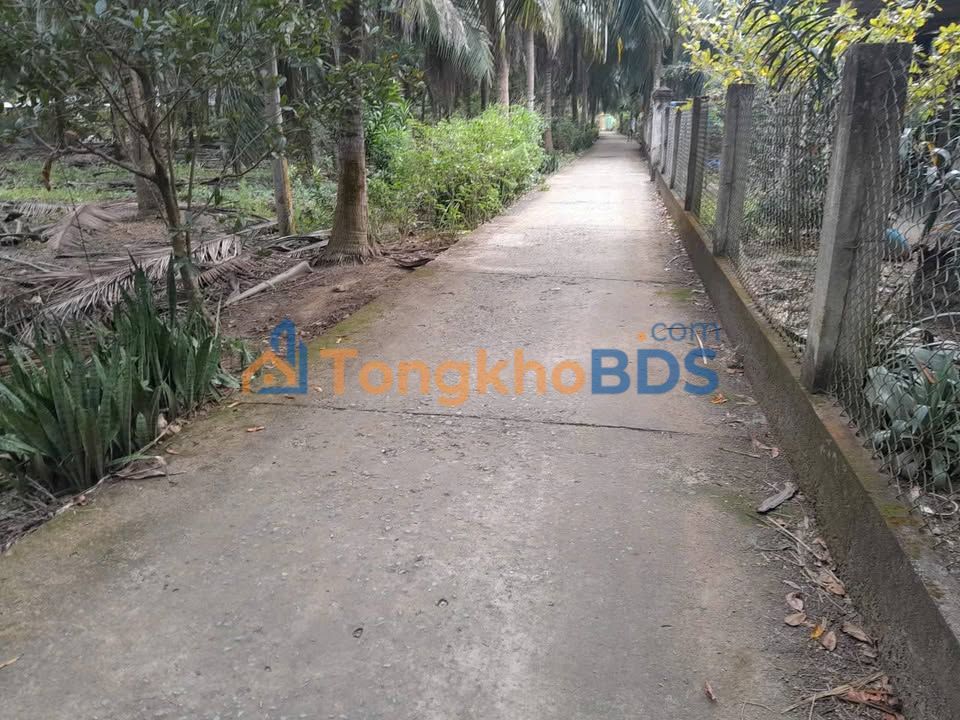 Đất nền Châu Hưng Bình Đại 2.200m² 924 triệu - Đường ô tô rộng