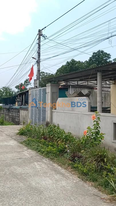 Đất nền Cam Thủy 175m² 400-499 triệu - Đường ô tô 4 hướng