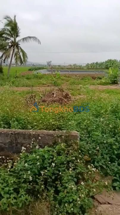 Đất nền Quỳnh Bảng 240m² 1 tỷ - Hạ tầng hoàn thiện