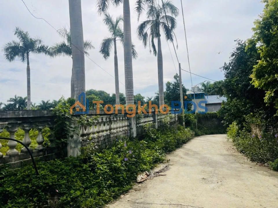 Đất nền Cổ Đông Sơn Tây 1.234m² 12.34 tỷ - Sổ đỏ chính chủ