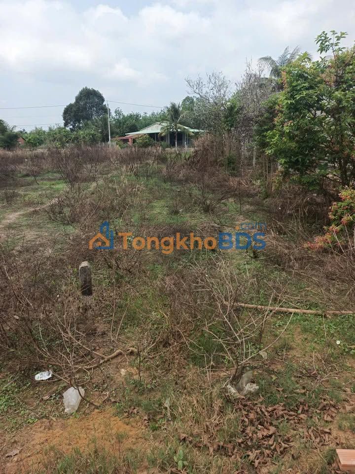 Đất nền Thạnh Bình Tân Biên 160m² 200 triệu - Đất thổ cư 100%