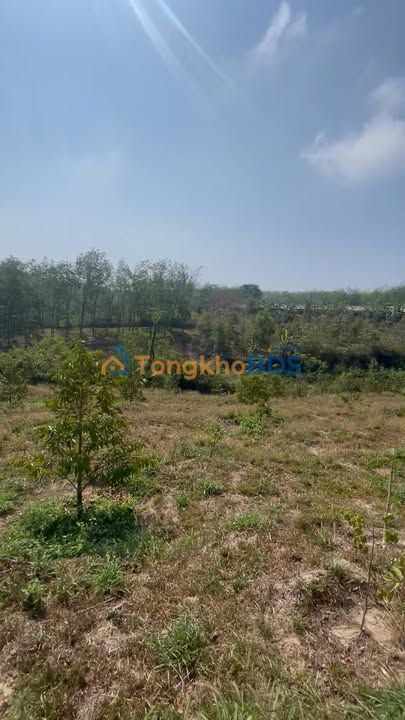 Đất vườn Thôn 9 Đắk Cấm 1440m² 8xx triệu - Sinh thái xanh