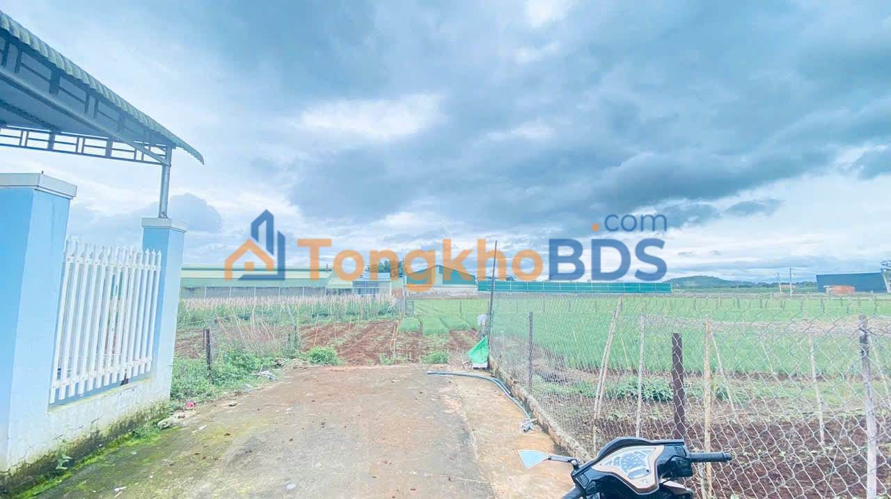 Đất nền Hẻm Tổ 32 Liên Nghĩa 116m² 1.2 tỷ - Đường to ô tô