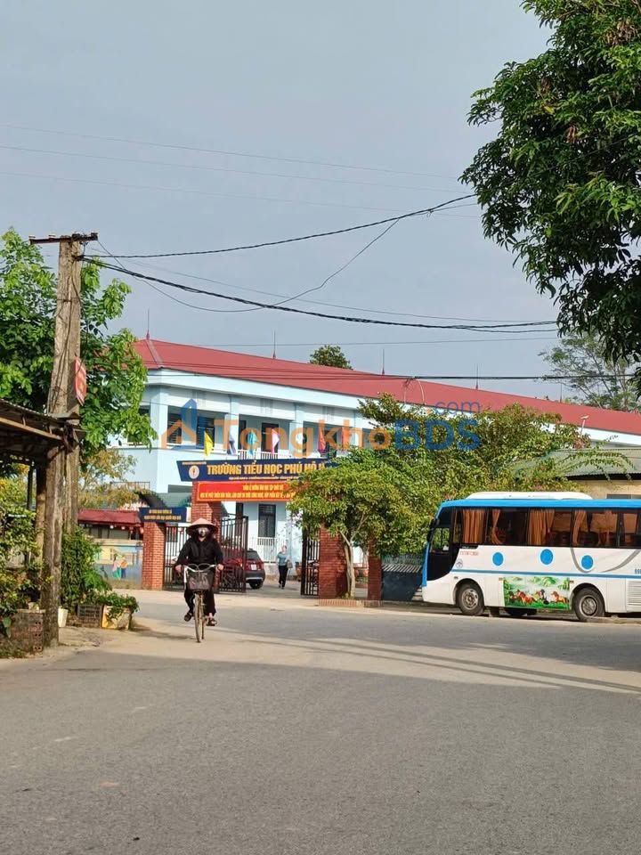 Đất nền Phú Hộ Việt Trì 100m² 700-799 triệu - Sổ đỏ chính chủ