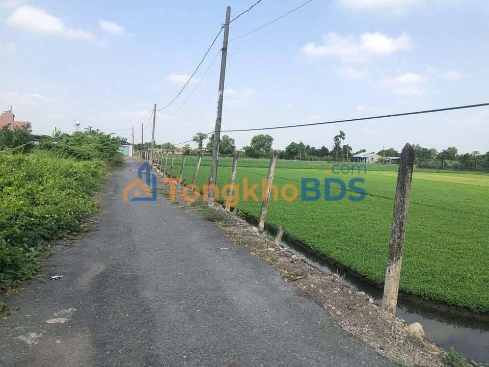 Đất vườn TL9 Củ Chi 2.744m² 10.976 tỷ - Sinh thái xanh