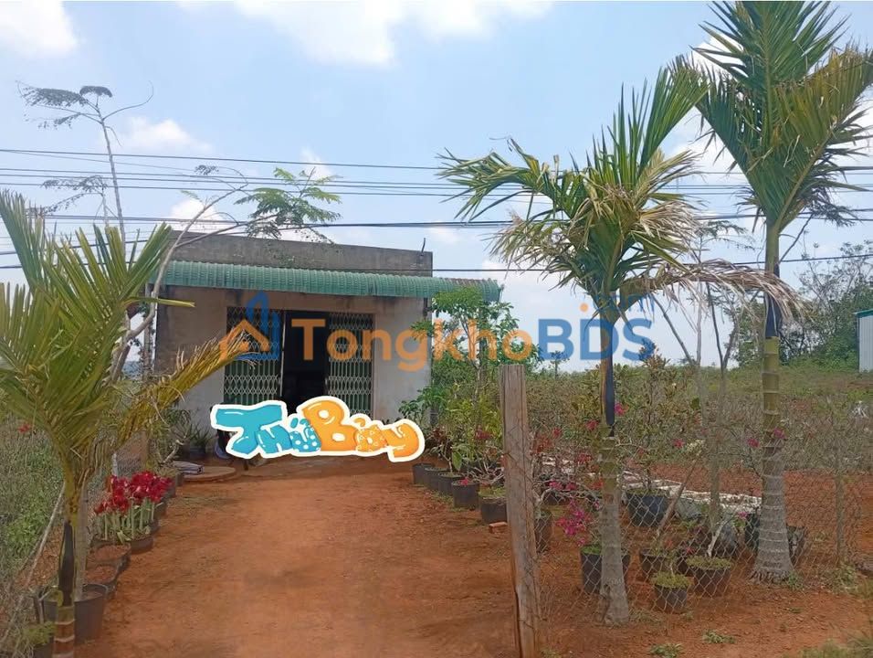 Nhà Nam Bình Đắk Song 225m² 550 triệu - Chính chủ