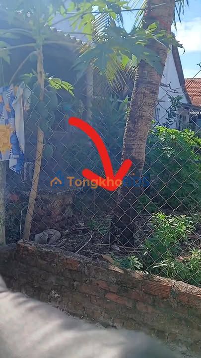 Đất Uất Lâm Đông Hòa 187m² 1.5 tỷ – Sổ hồng chính chủ