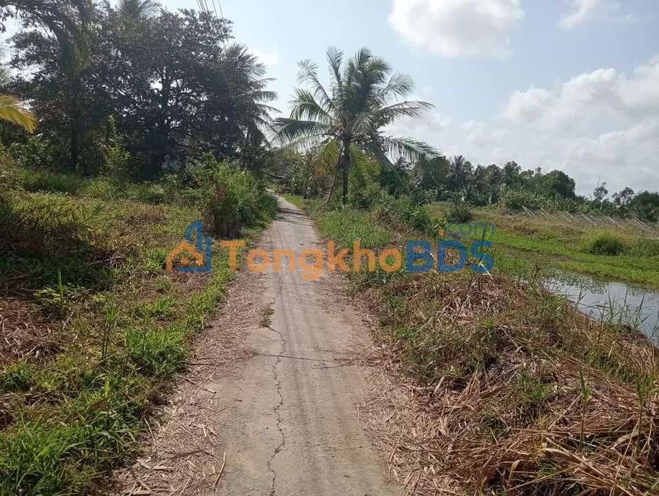 Đất nền Khóm Chánh Cà Mau 3.396m² 1.8 tỷ - Giá tốt hiếm có