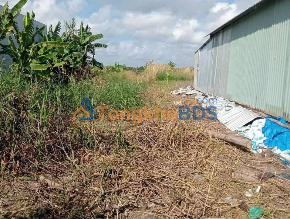 Đất nền Cái Nước 1.318m² 620tr – Giá tốt hiếm có