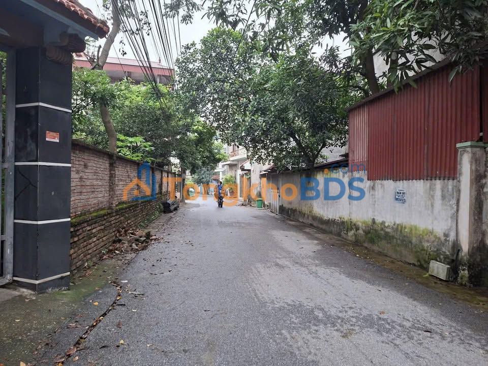 Kho xưởng Phật Tích 100m² giá mềm - Hoạt động ngay