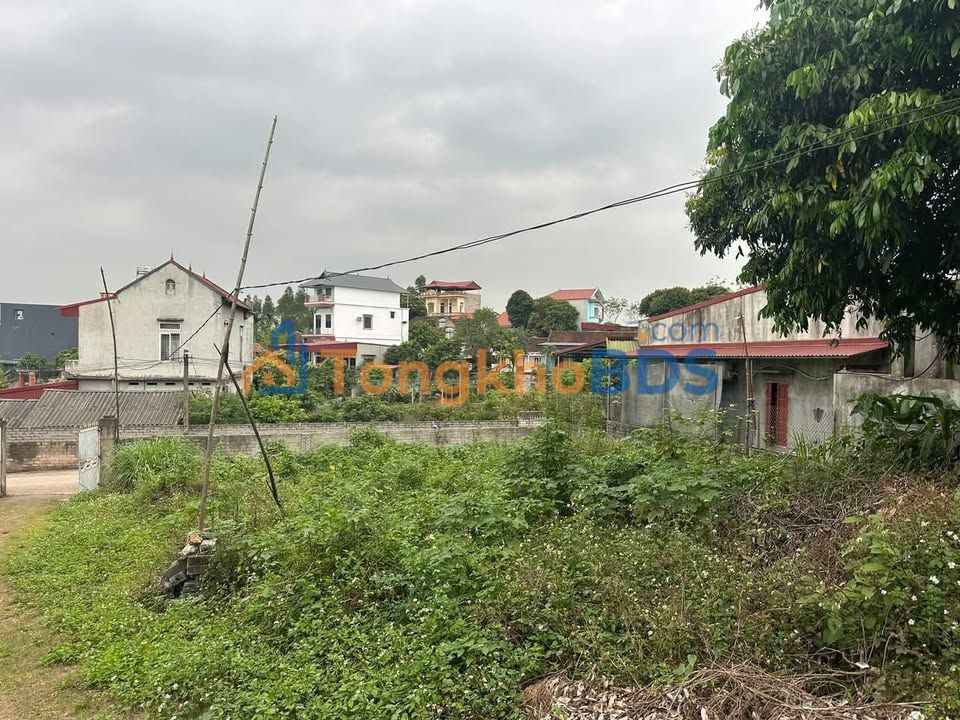 Đất thổ cư Thị trấn Kép 100m² giá 8 tỷ - Sổ đỏ chính chủ