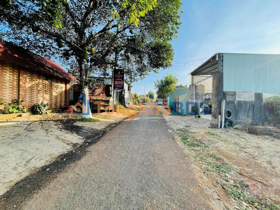 Đất nền Quy Nhơn Lê Thánh Tôn 160m² giá 9xx triệu - Sổ đỏ chính chủ