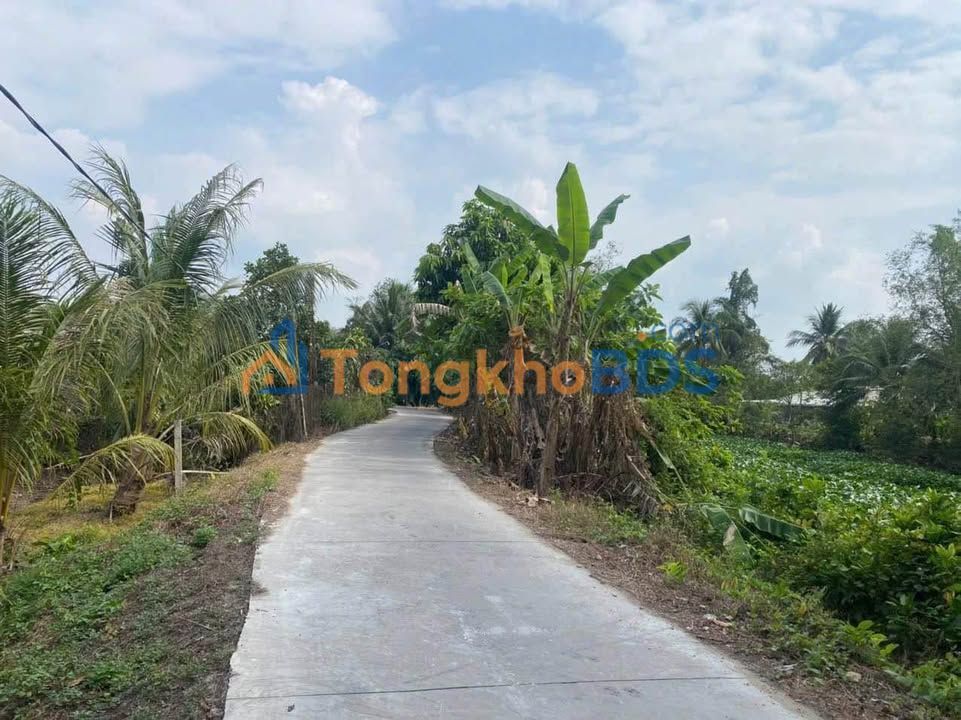 Đất nền Tân Hạnh Long Hồ 1.900m² 2,47 tỷ - Tiềm năng tăng giá