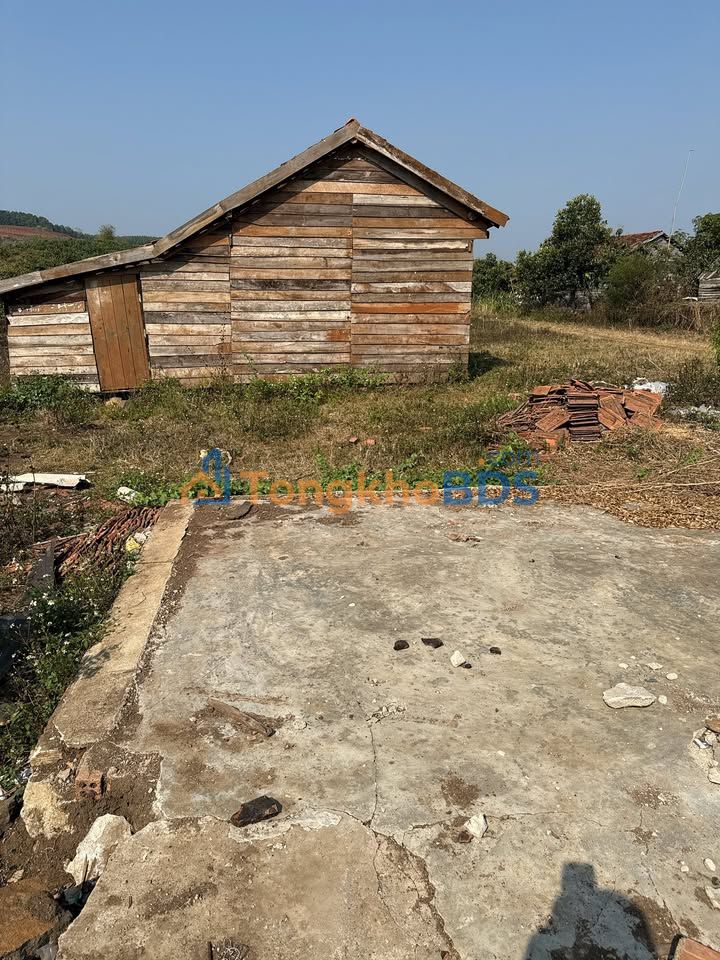 Đất nền Đắk Gằn Đắk Mil 14.000m² 950 triệu - Xây dựng tự do