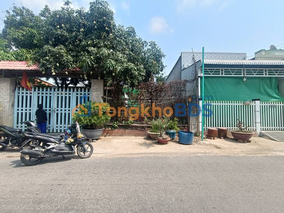 Đất nền Vĩnh Hòa An Giang 160m² 520tr - Sổ hồng sẵn