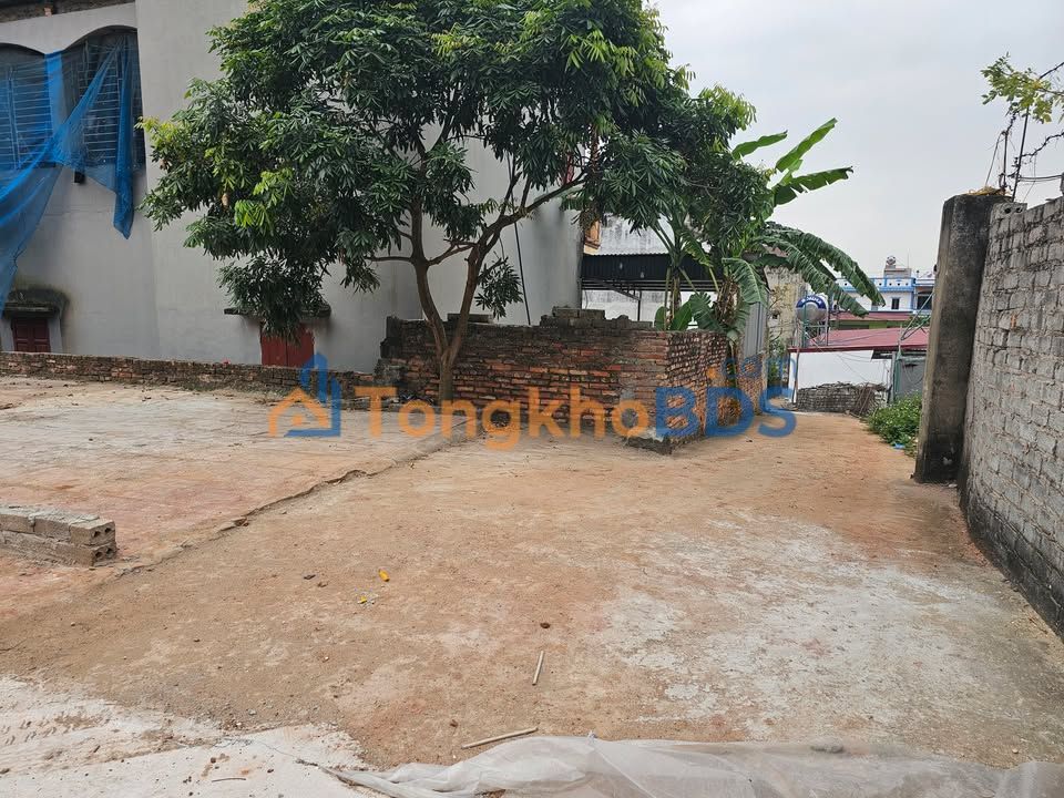 Đất Yên Lư Yên Dũng 85m² 1.5 tỷ - Giá tốt hiếm có