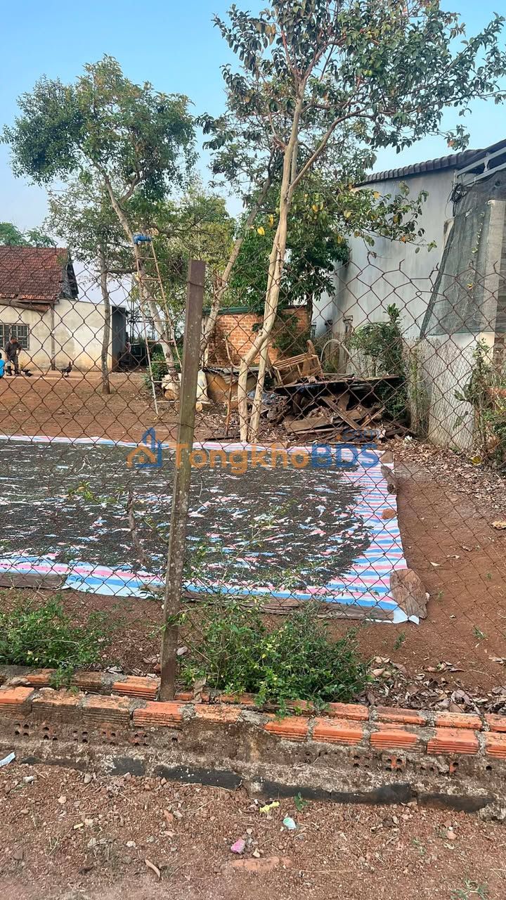 Đất nền Đắk R'La Đắk Mil 296m² 1.25 tỷ - Giá tốt hiếm có