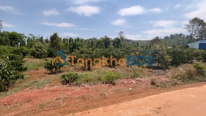 Đất nền Đắk Sắk Đắk Mil 960m² 100.8 tỷ - Sổ đỏ chính chủ