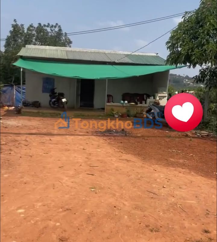 Đất nền Xuân Trường Đà Lạt 450m² 500tr - Sổ đỏ chính chủ