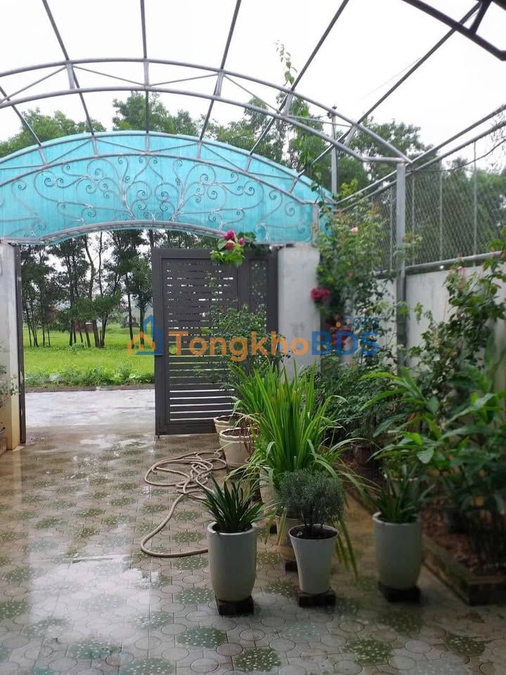 Đất nền Thanh Hà Thanh Liêm 100m² 1,8 tỷ - Sẵn sàng vào ở