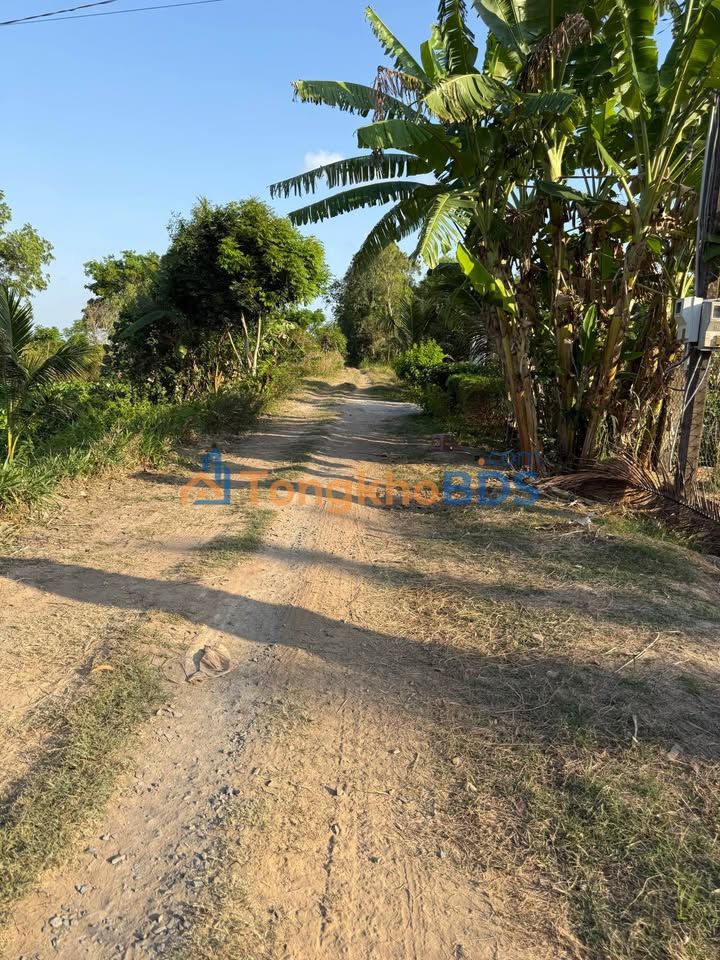 Đất nền Hòa Lợi 1.108m² 880tr - Đất thổ cư 100%