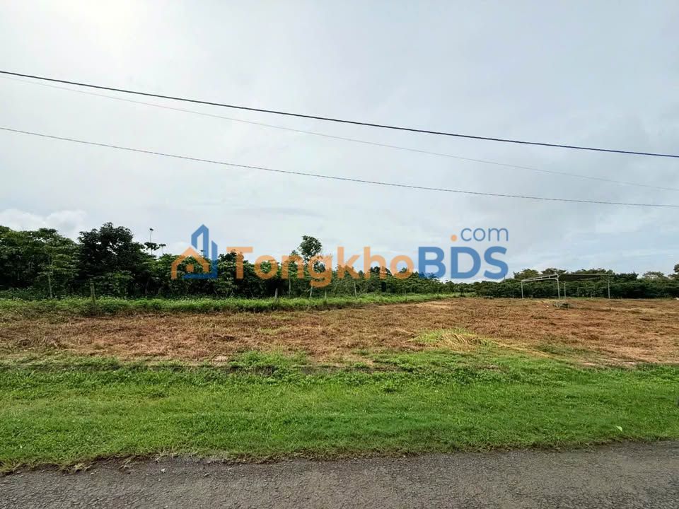 Đất nền Bảo Lâm 200m² 650 triệu - Sổ đỏ chính chủ giá tốt