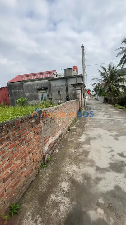 Đất nền Tứ Kỳ Hải Dương 158m² - Sổ đỏ chính chủ cánh đồng