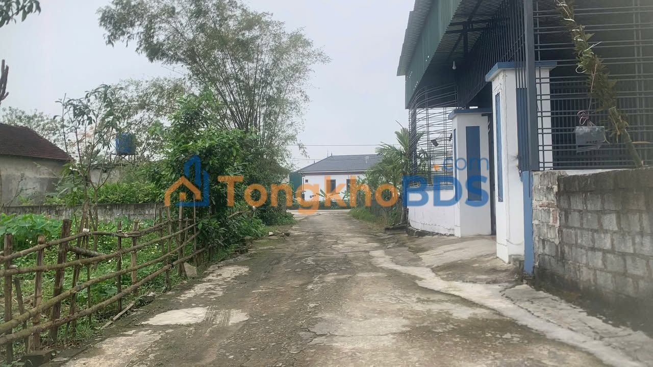 Đất Hưng Giang, Hà Tĩnh 205m² 1.2-1.299 tỷ - Xây dựng tự do
