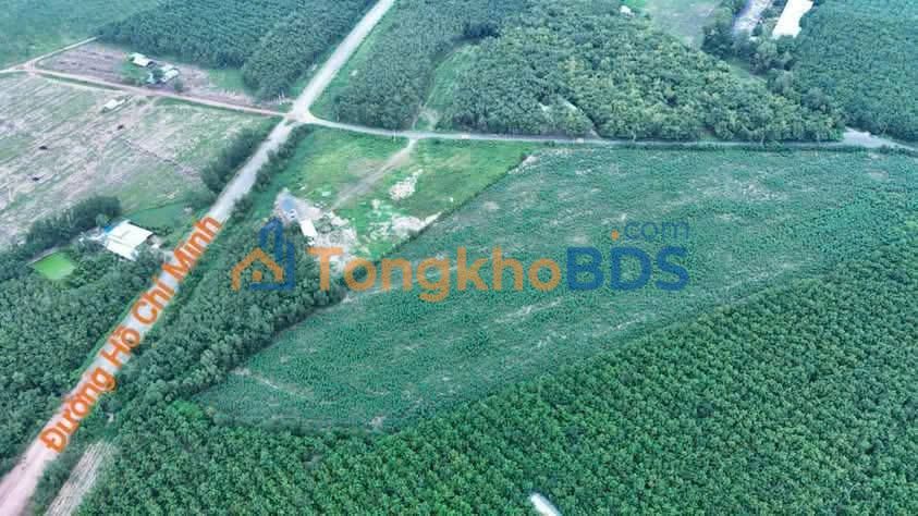 Đất SKC Tân Long Phú Giáo 4.76ha 10 tỷ/ha - Đường ô tô