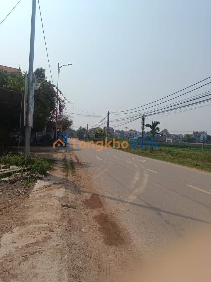 Đất nền Lục Nam TL295 175m² giá 2 tỷ - Đường to ô tô