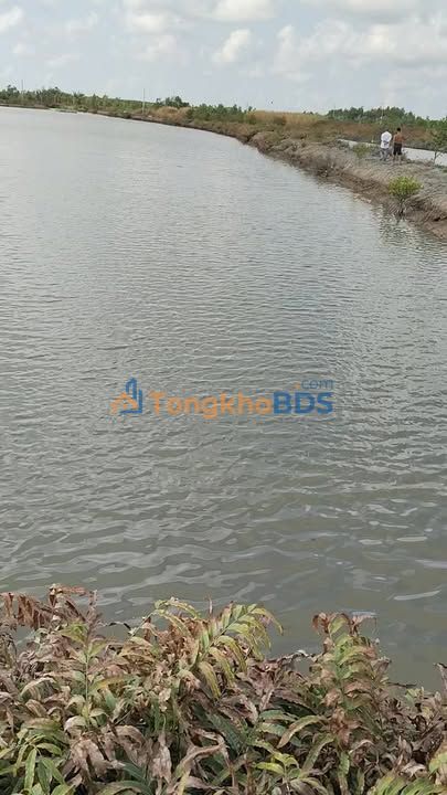 Đất nền Hiệp Tùng Cà Mau 27 công 1.566 tỷ - Sổ đỏ chính chủ