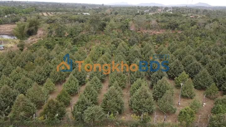 Đất vườn Cư M'gar 2.880m² 4.5 tỷ - Sinh thái xanh