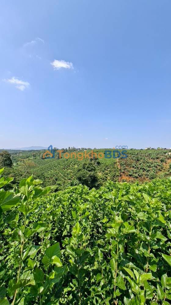 Đất vườn Bảo Lộc 7.400m² 9,46 tỷ - Sinh thái xanh