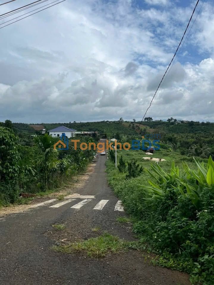 Đất nền Lộc An Bảo Lâm 101m² 550 triệu - Sổ đỏ chính chủ