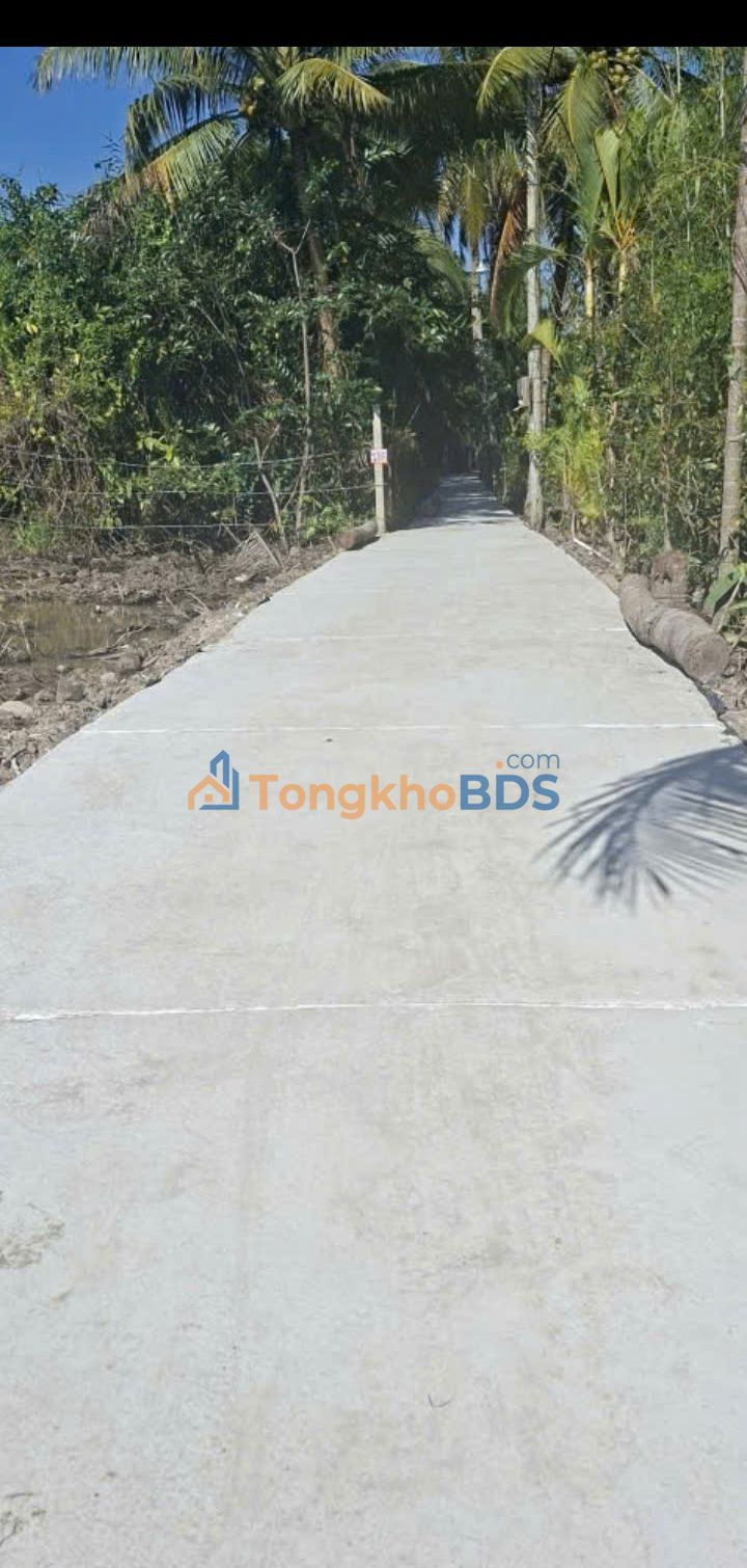 Đất nền Hòa Thuận Cao Lãnh 100m² 400 triệu - Giá đầu tư tốt